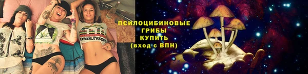 ГАЛЛЮЦИНОГЕННЫЕ ГРИБЫ Кодинск