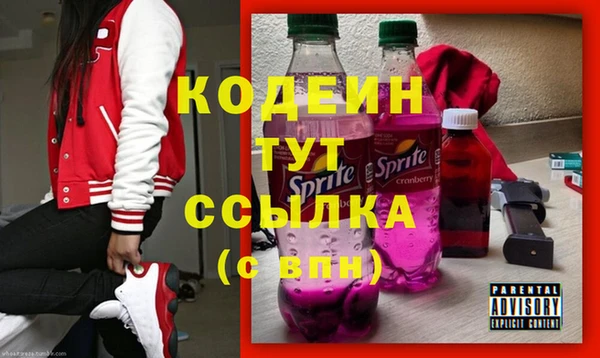 ГАЛЛЮЦИНОГЕННЫЕ ГРИБЫ Кодинск