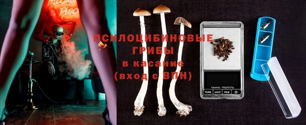 ГАЛЛЮЦИНОГЕННЫЕ ГРИБЫ Кодинск